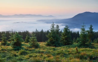 Eco Friendly Vodka: Organic Production and Environmental Impact