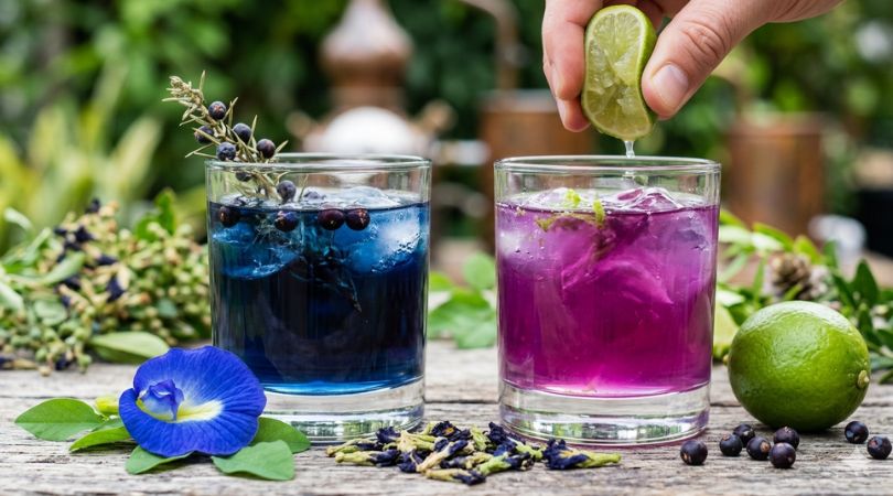 Butterfly Pea Gin Explained: The Botany Behind FLORENA's Color-Changing Spirit
