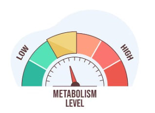Calories in Vodka: What You Should Know Before Drinking
