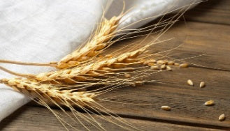 Organic Grains Used in Vodka: Wheat, Rye, Corn and Beyond